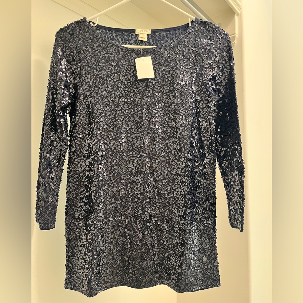 JCrew Glitter Shirt